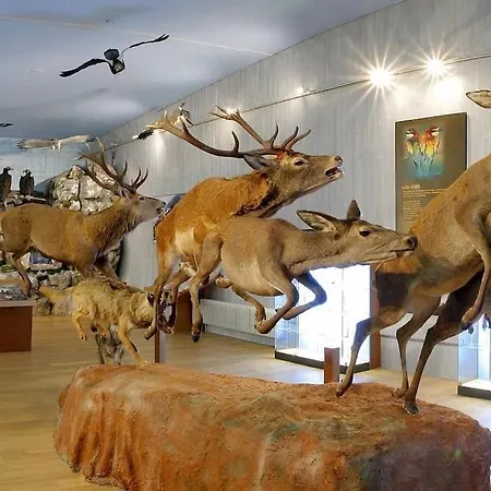 Azabache Apartamento El Barraco