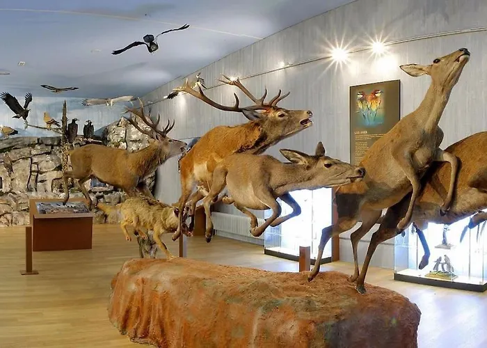 Azabache Appartement El Barraco